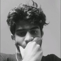 Mostafa Abd Alkader