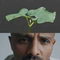 Wake Up Plataforma Consciente