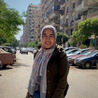 Alaa Esmail