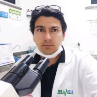 Yure Costa