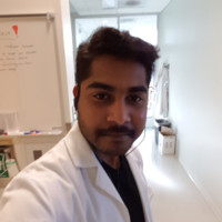 Logesh Somasundaram