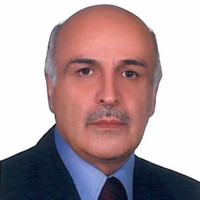 Seyed Hassan Mortazavi