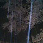 Sean Evans