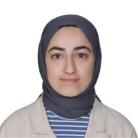 Fatma Nur Köysüren
