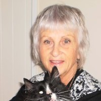 Robin Thomson