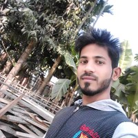 Rajib Ali