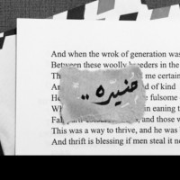 Munira Abu Dreib