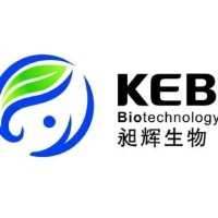 石佳欣