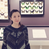 Joyce Shen