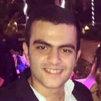 Mohamed Alam ElDin