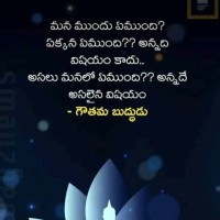 Banisetti Charansatya