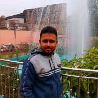 Pallab Roy