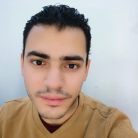 Mohamed Saber