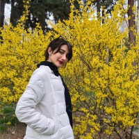 Negar Nikbakht