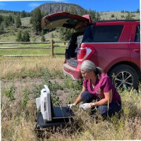 Janice Posnikoff DVM