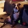 Maryjane Mcmillin