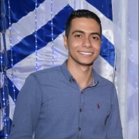 Ahmed Hegy