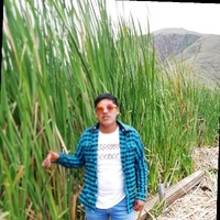 Ronald Wilson Diaz Pilco