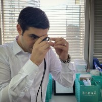 David Elbaz