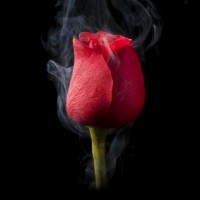 Sooraj S