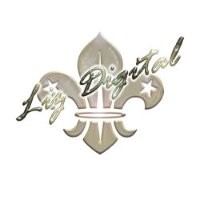 Liz Digital Art Web -Tradiçao Em Qualidade