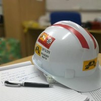 Subhasis Das