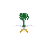 Sattam Aljameeli