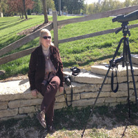 Ann Buehl