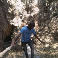 Trevor Simbarashe Mungwariri