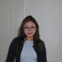 Wenjing Lu