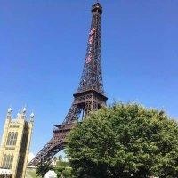 任运根