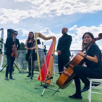 Musicos Para Eventos