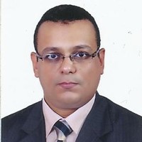 هشام فتحي