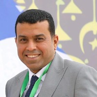 Mohamed Fawzy, Dipifr