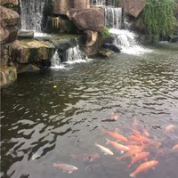 许振东