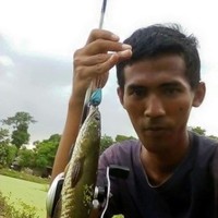 Sunarto Sunarto