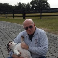 Tom Bassett