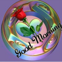 Harish Budha
