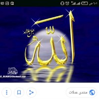 Abdelrahman Hamany