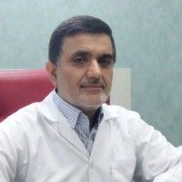 seyed hamzeh hosseini