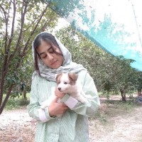 Tahereh Sanchouli