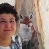 Marinella Murgia