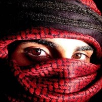 اليمن الاصيل