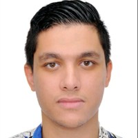 Mehdi Ben Abdel Hanin