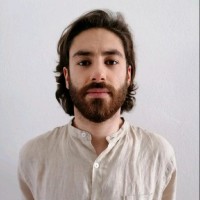 Andrea Antonini