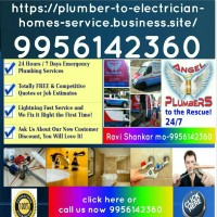 Ravi Shankar Raw Online Services