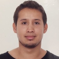 David Mauricio Vanegas Duarte