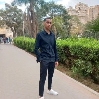 Elsayed Mohamed