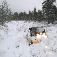 Jari Estola