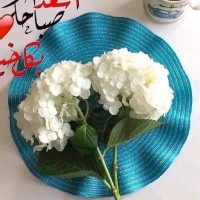 Nabeel Al-Manahi